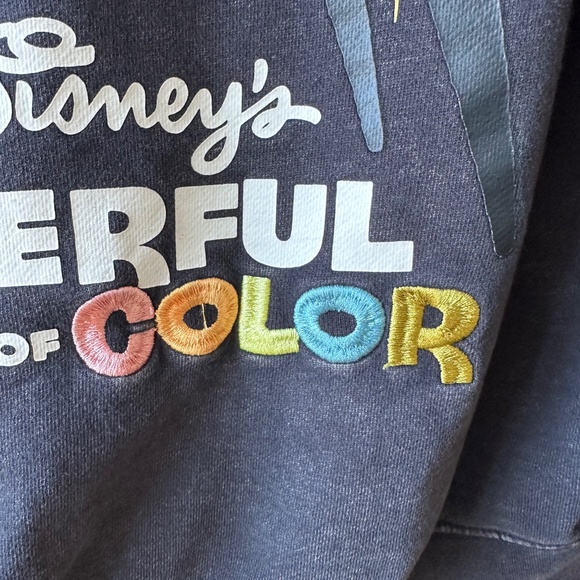 Disney Wonderful World of Color hoodie - Picture 3 of 3